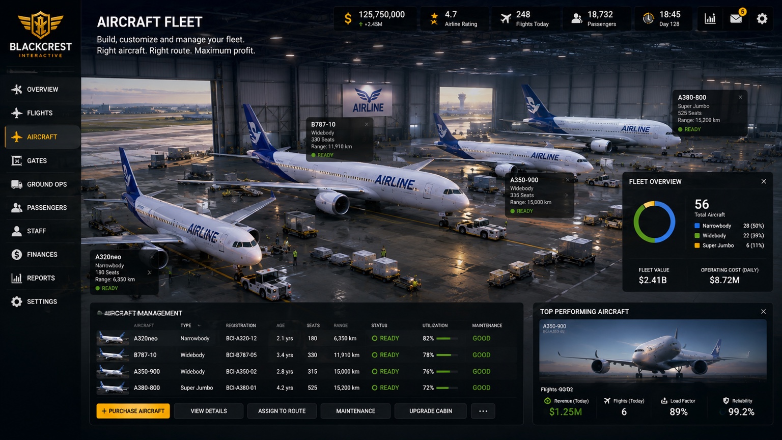 Aircraft Fleet